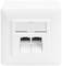 Double network socket in a white casing, suitable for Ethernet connections in office spaces or home networks.
