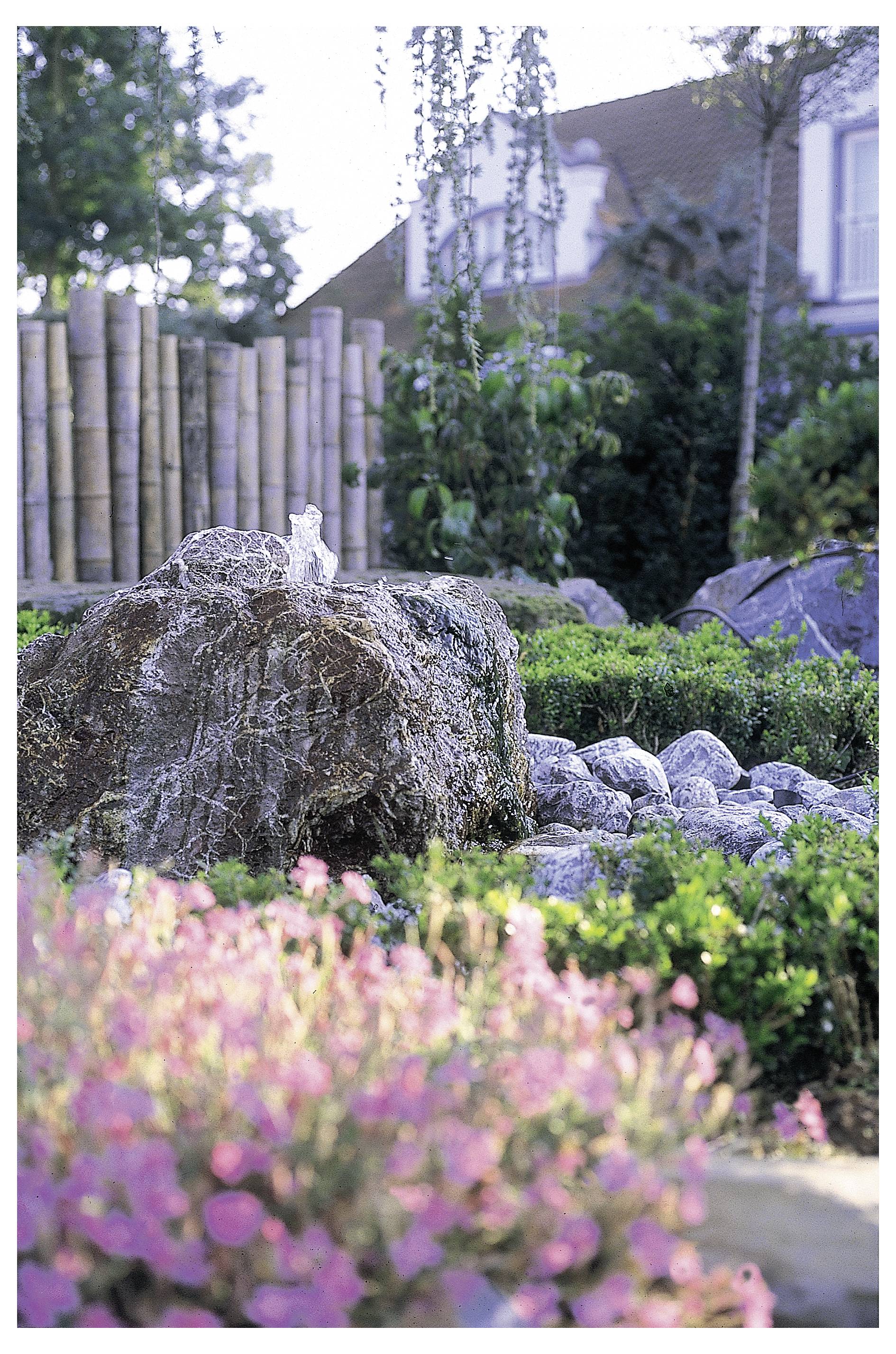 A tranquil garden features a rock fountain surrounded by pink flowers, lush greenery, and tall trees, with a house visible in the background.