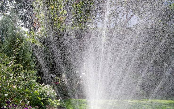 Water sprinkler spraying over a green lawn and garden with plants in the background, creating a refreshing and vibrant atmosphere.