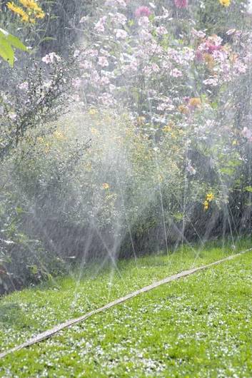 A garden with colorful flowers in the background is being watered by a sprinkler, creating a mist over the lush green grass.