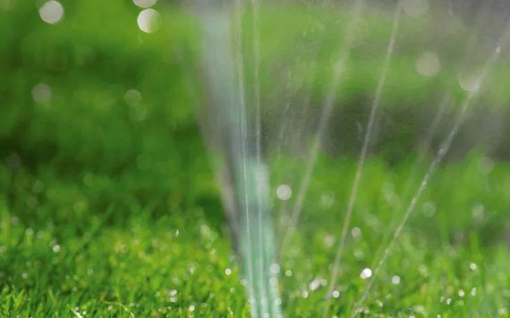 Water sprinkler sprays across lush green grass, creating droplets that catch sunlight.
