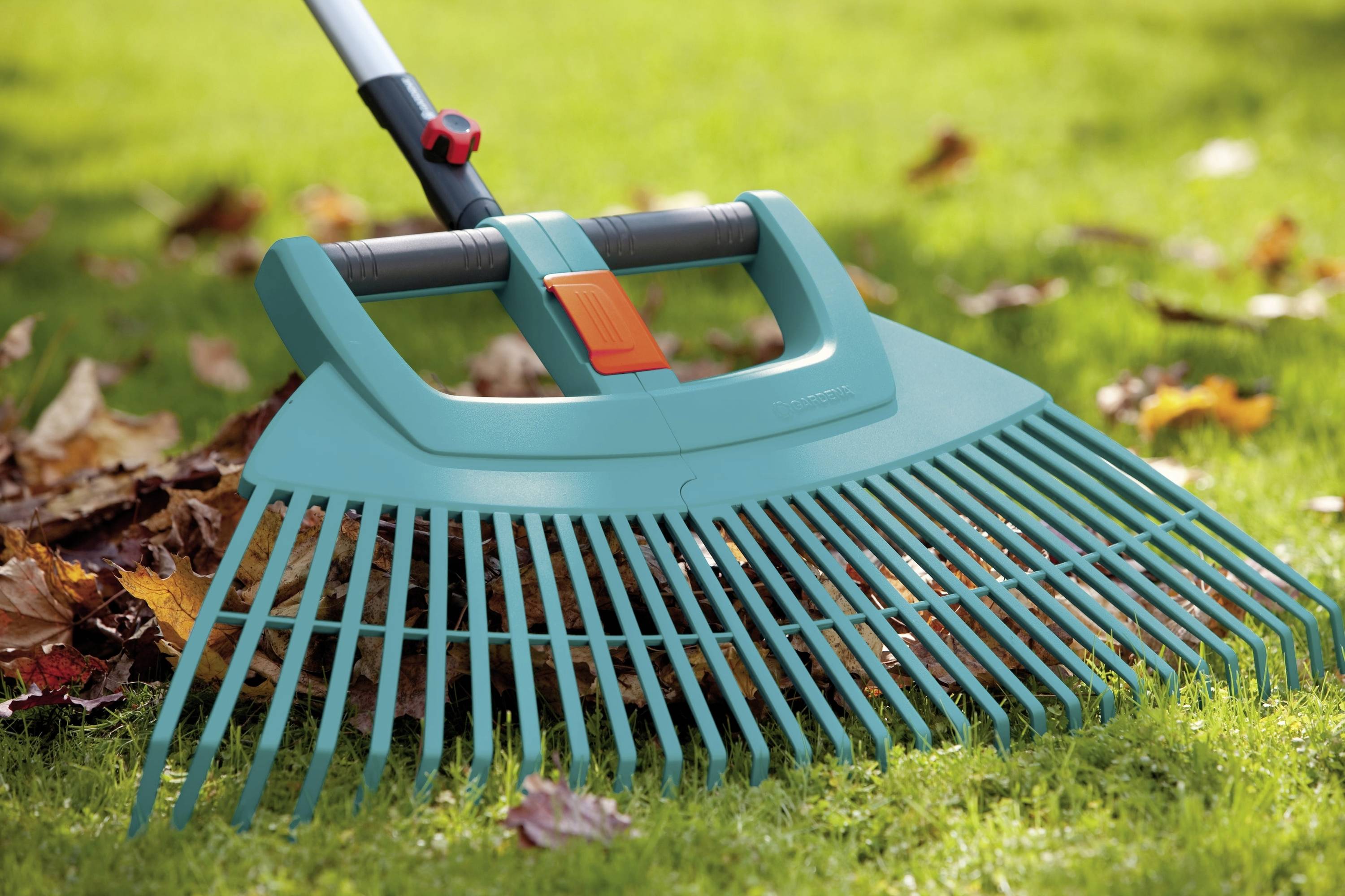 A green rake gathers autumn leaves on a lawn. The sun is shining and casting shadows on the grass.