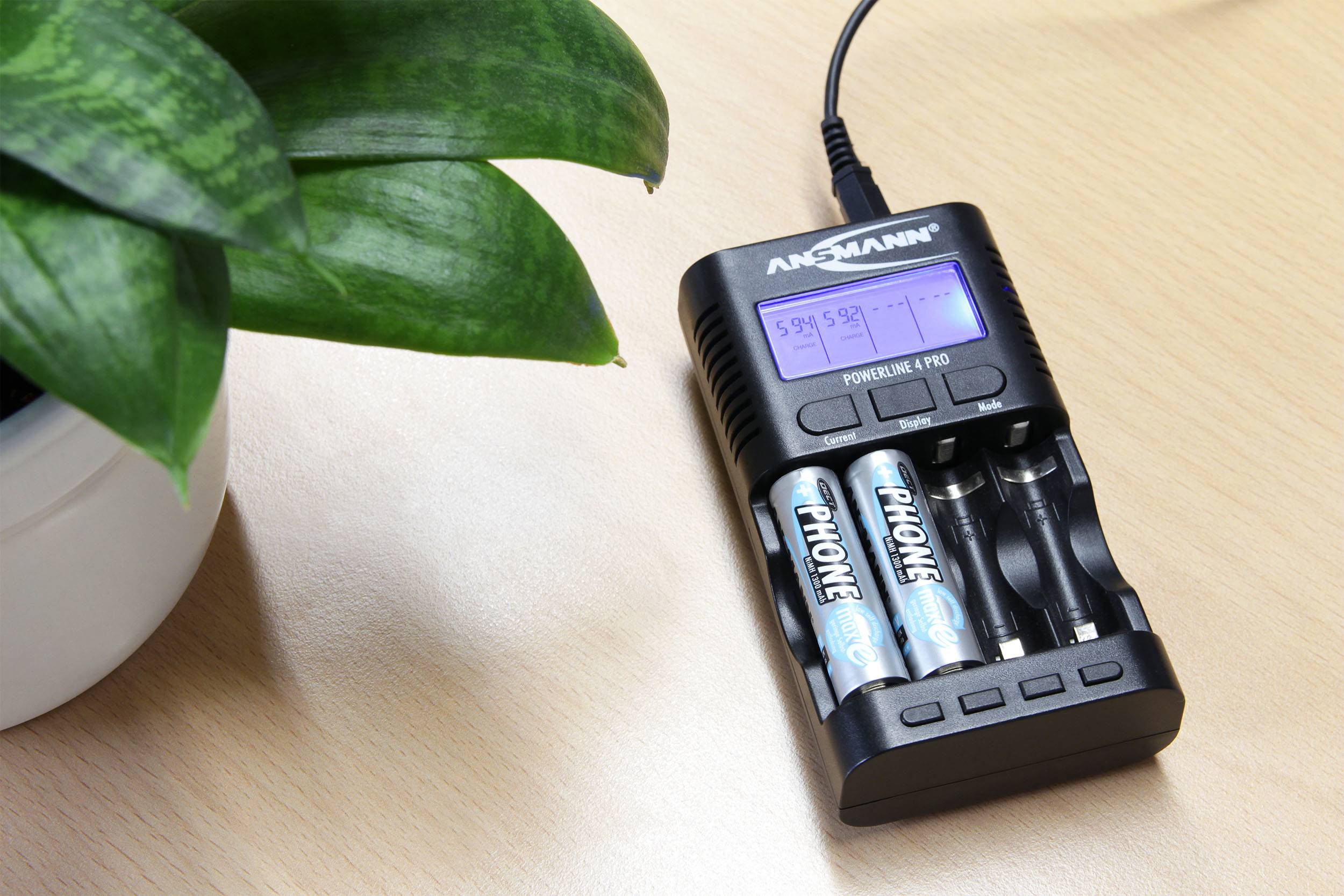 Battery charger on a wooden table charging four AA batteries. A green plant in a white pot sits to the left beside it.
