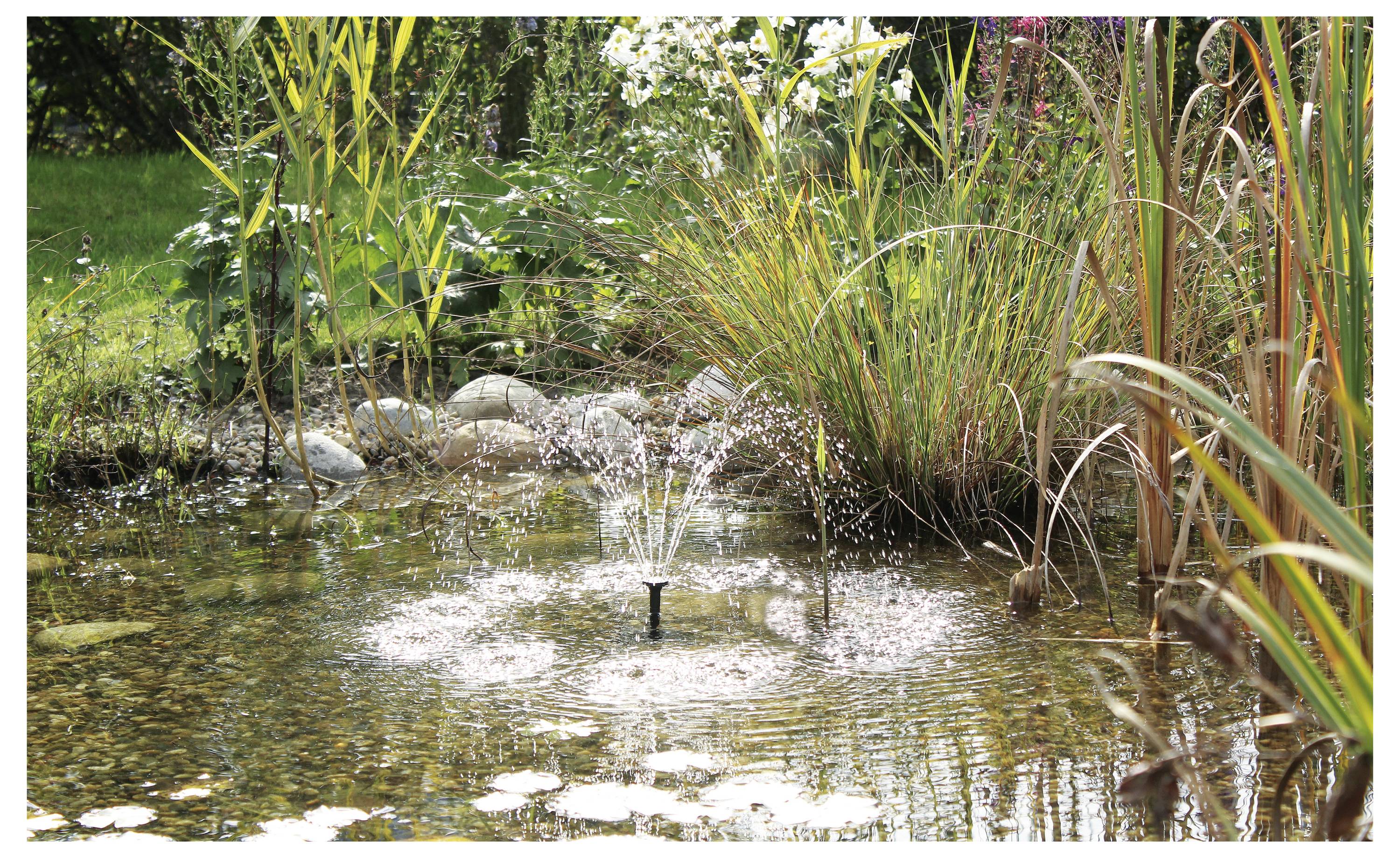 A garden pond with a central water fountain surrounded by diverse, lush plants and flowers, reflecting a calm and serene atmosphere.