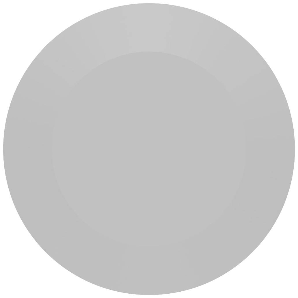 Grey, single-coloured circle.