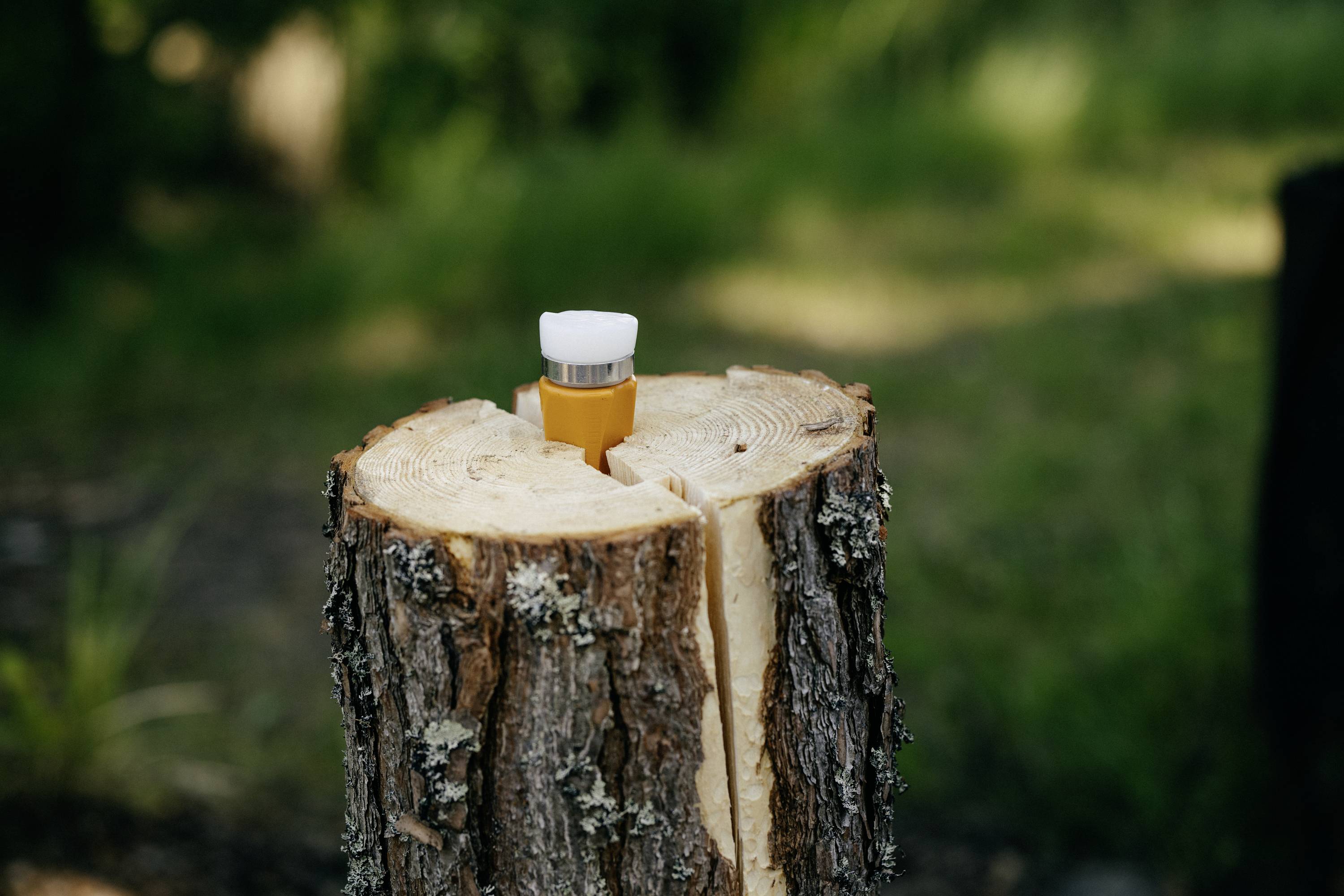 A cut-off tree stump with a small white and orange bottle placed on top, surrounded by a blurred green landscape.