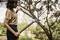 A person is pruning branches of a tree with secateurs in the garden. The background shows trees and a cloudy sky.
