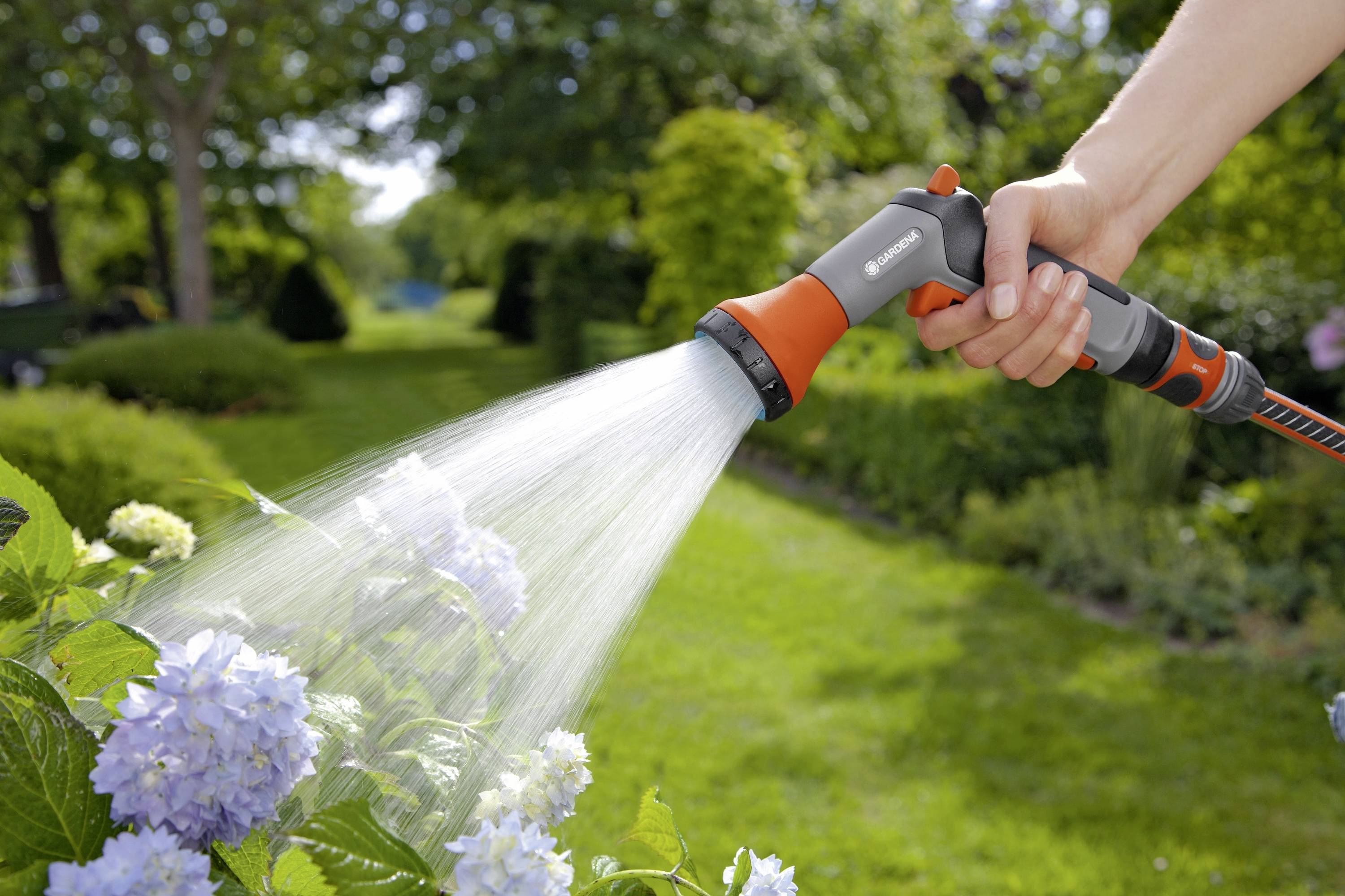 A hand holds a garden sprayer and waters blue hydrangeas in a green garden. The flowers are blooming luxuriantly in the sunlight.