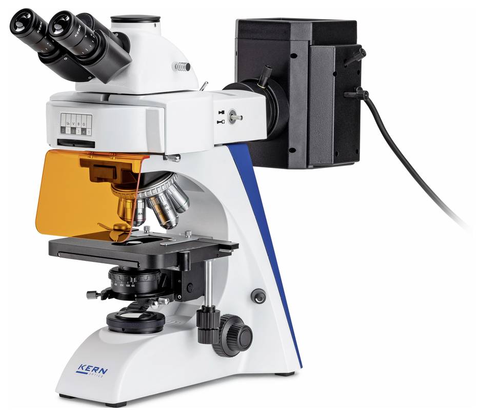 Microscope with multiple eyepieces and illumination system, suitable for detailed laboratory investigations.