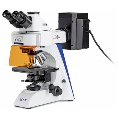 Microscope with multiple eyepieces and illumination system, suitable for detailed laboratory investigations.