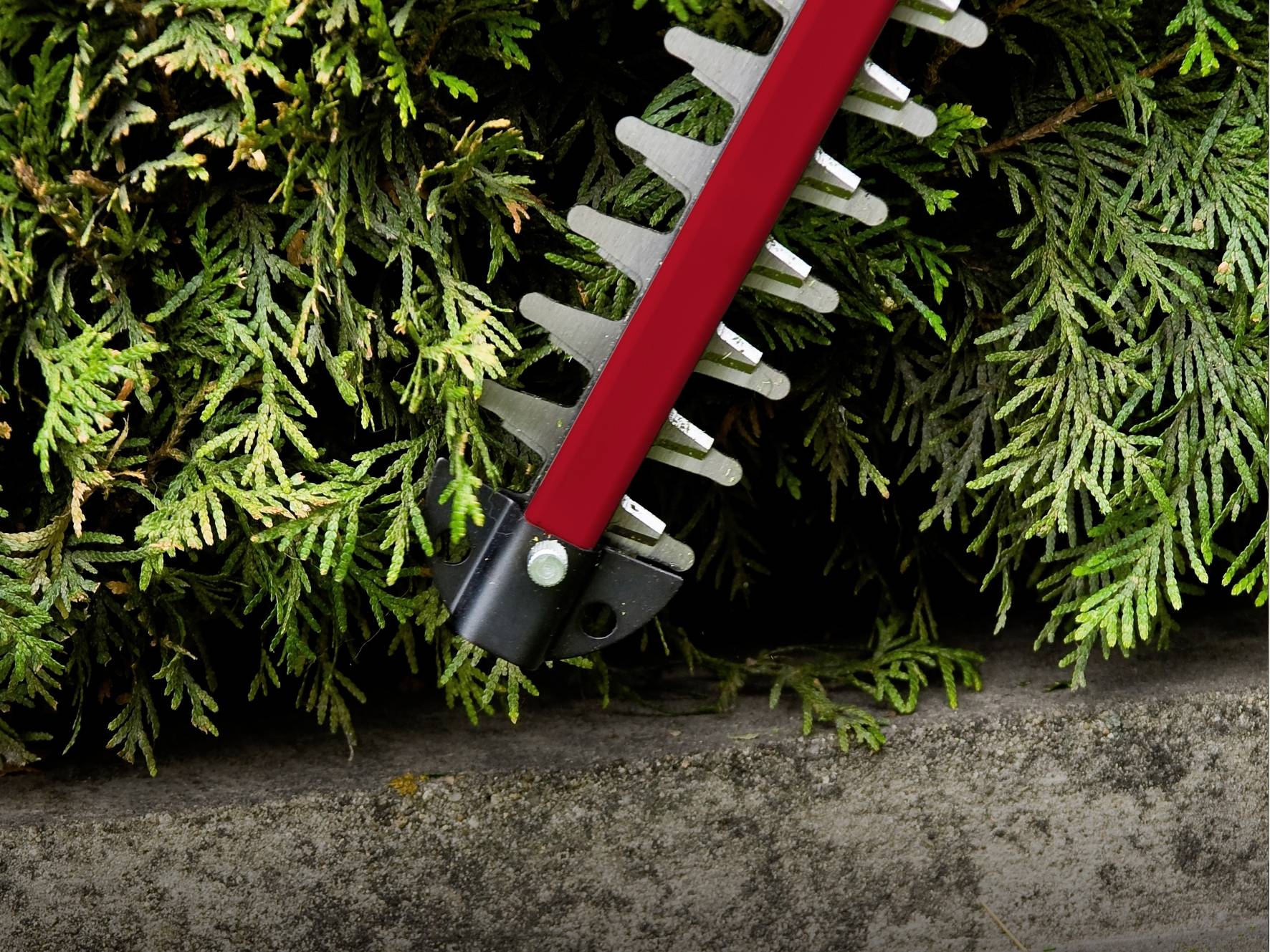 A red hedge trimmer cuts green shrubbery against a stone wall.