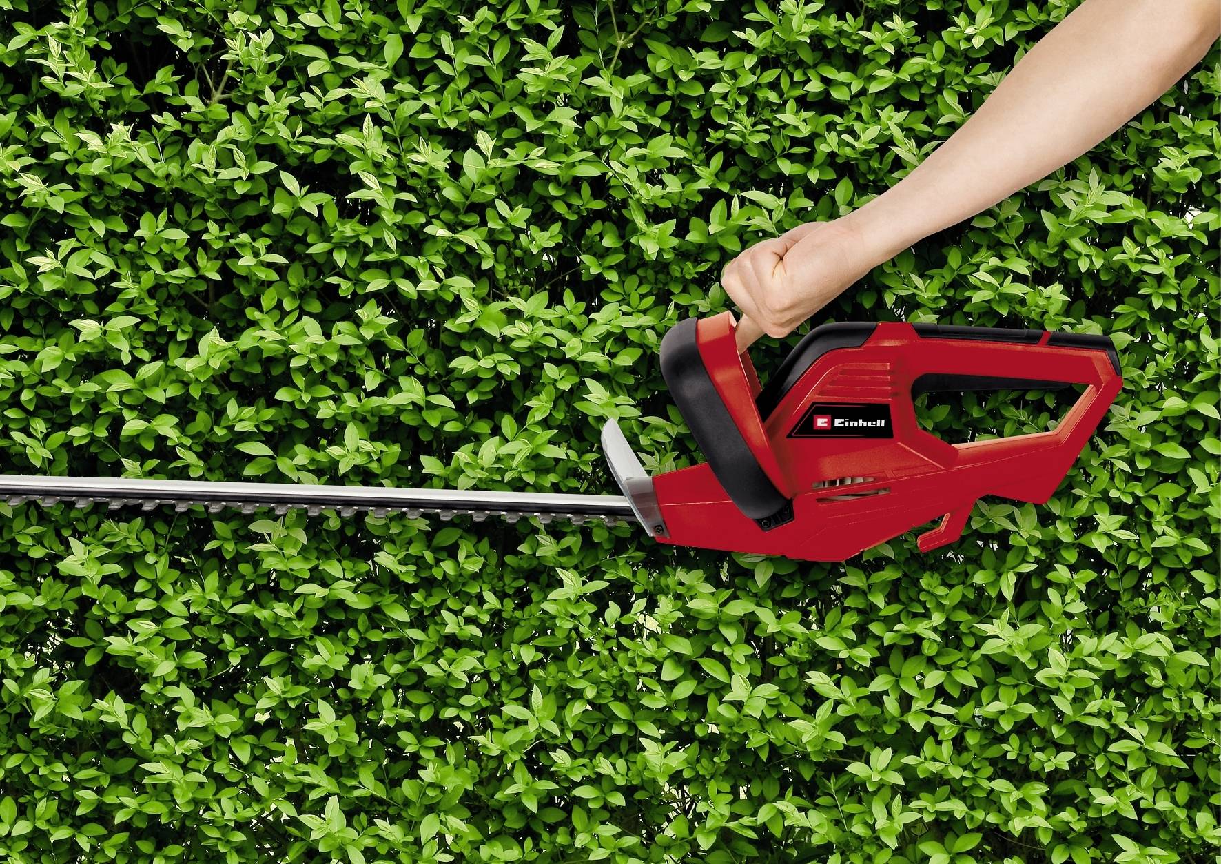A person is trimming a green hedge with a red hedge trimmer. The hedge trimmer is being held with one hand.