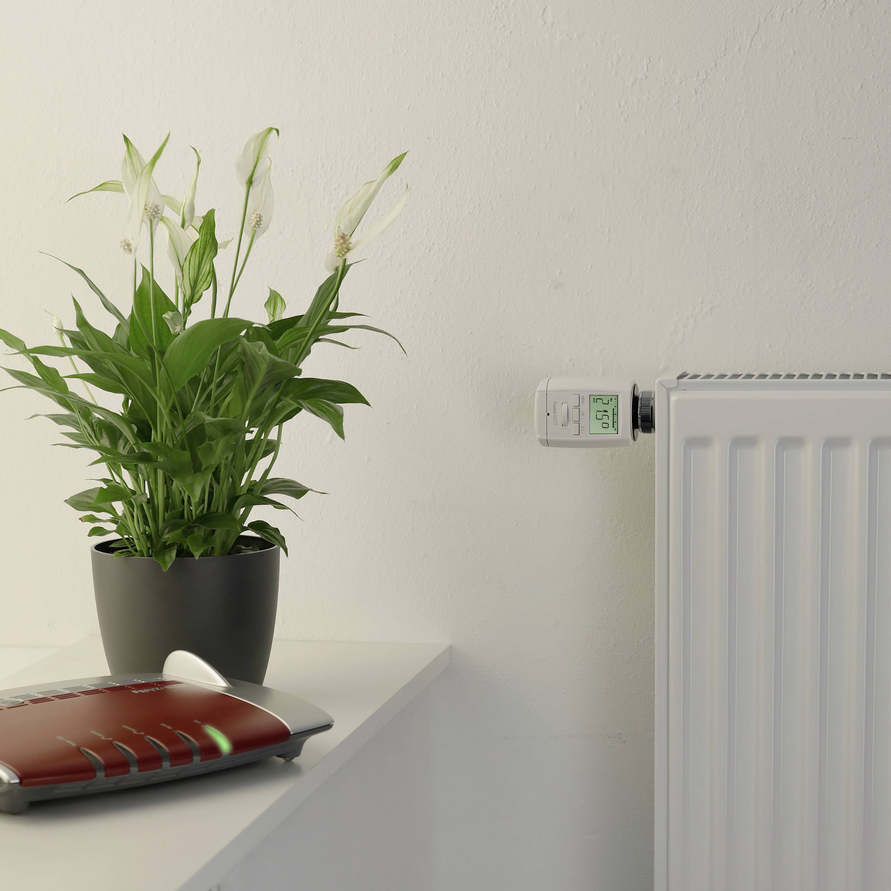 Plant on a table next to a radiator; modern heating thermostat displaying the temperature. A router is visible in the foreground.