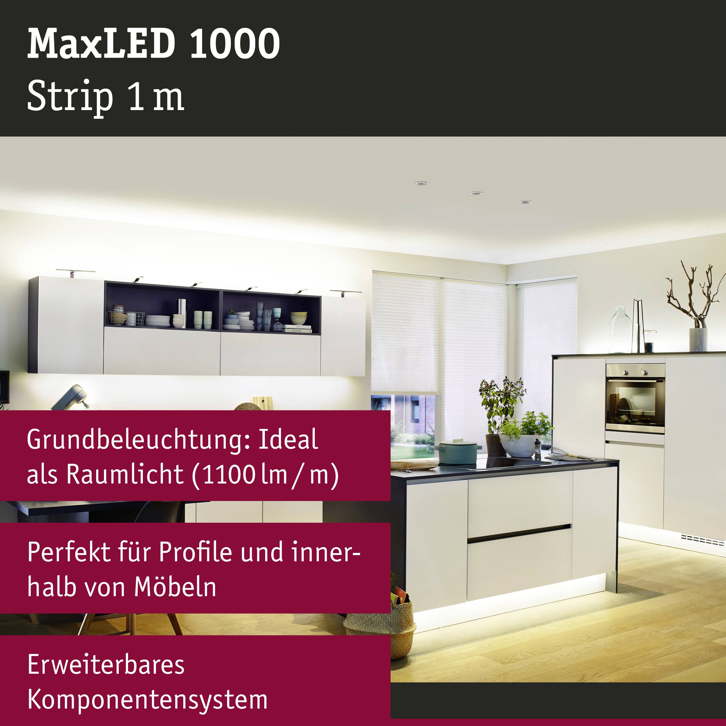 Bright modern kitchen with LED lighting. The text describes MaxLED 1000 as ideal ambient lighting with 1100 lm/m, excellent for profiles and furniture.