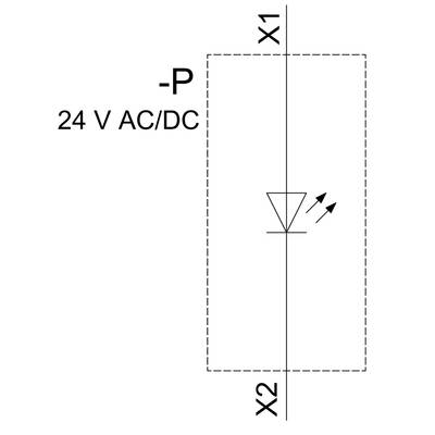 Electronic component diagram with a diode, marked with '+P', '24 V AC/DC', with two connection points 'X1' and 'X2' on the sides.