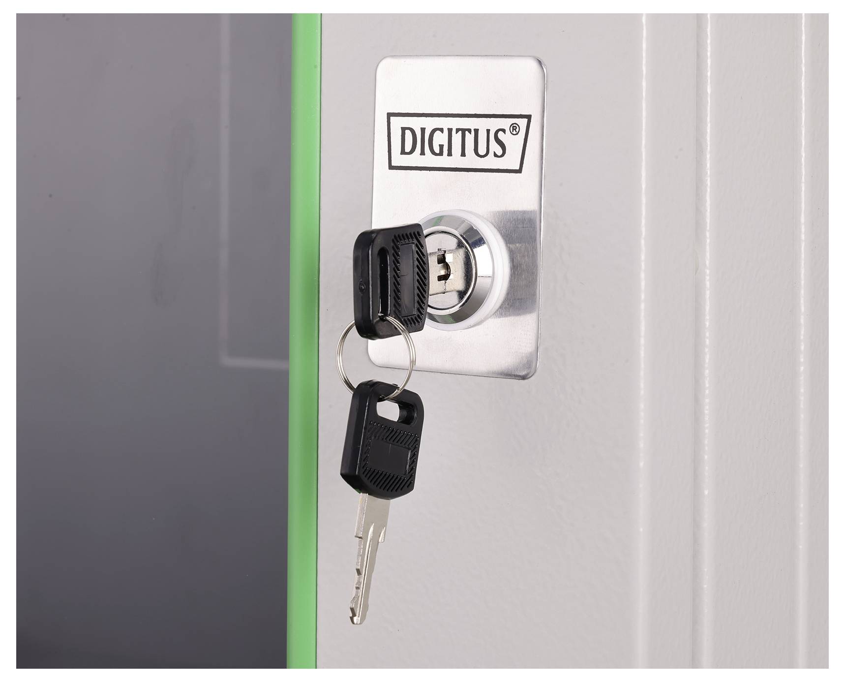 A metal lock with two black keys inserted, on a white panel marked 'DIGITUS', indicating secure locking mechanism.