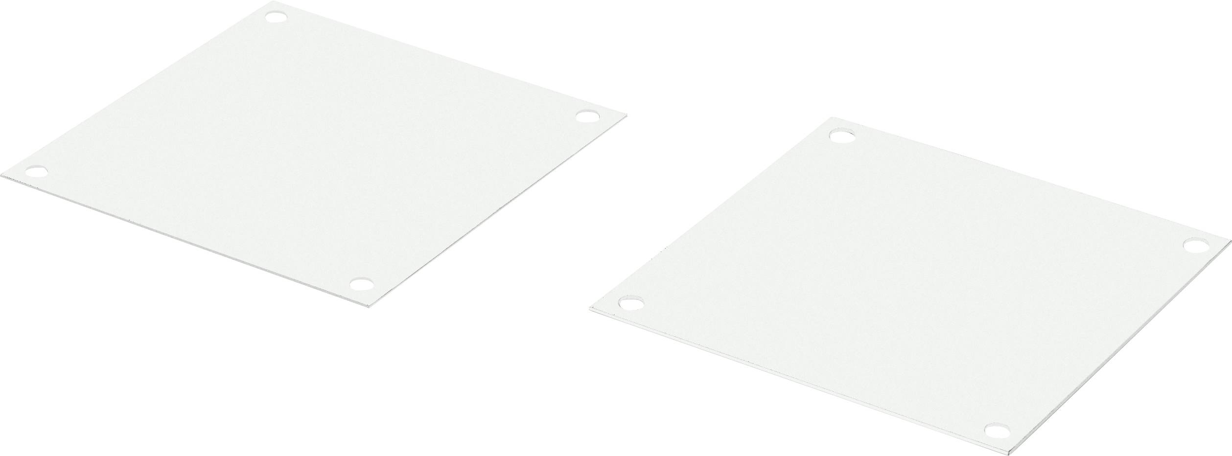 Rittal 7507760 19 inch Server rack cabinet blind Grey-white (RAL 7035)