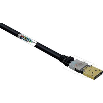 An Ethernet cable with a transparent plug reveals its internal wires and connections.