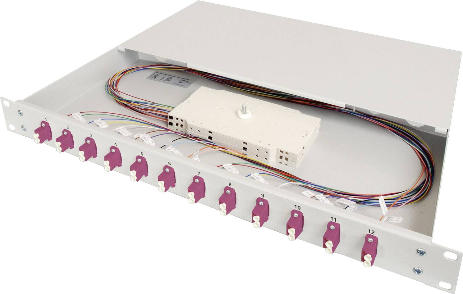A grey fibre-optic distribution box with twelve connections. Cables and a white module block are visible inside.