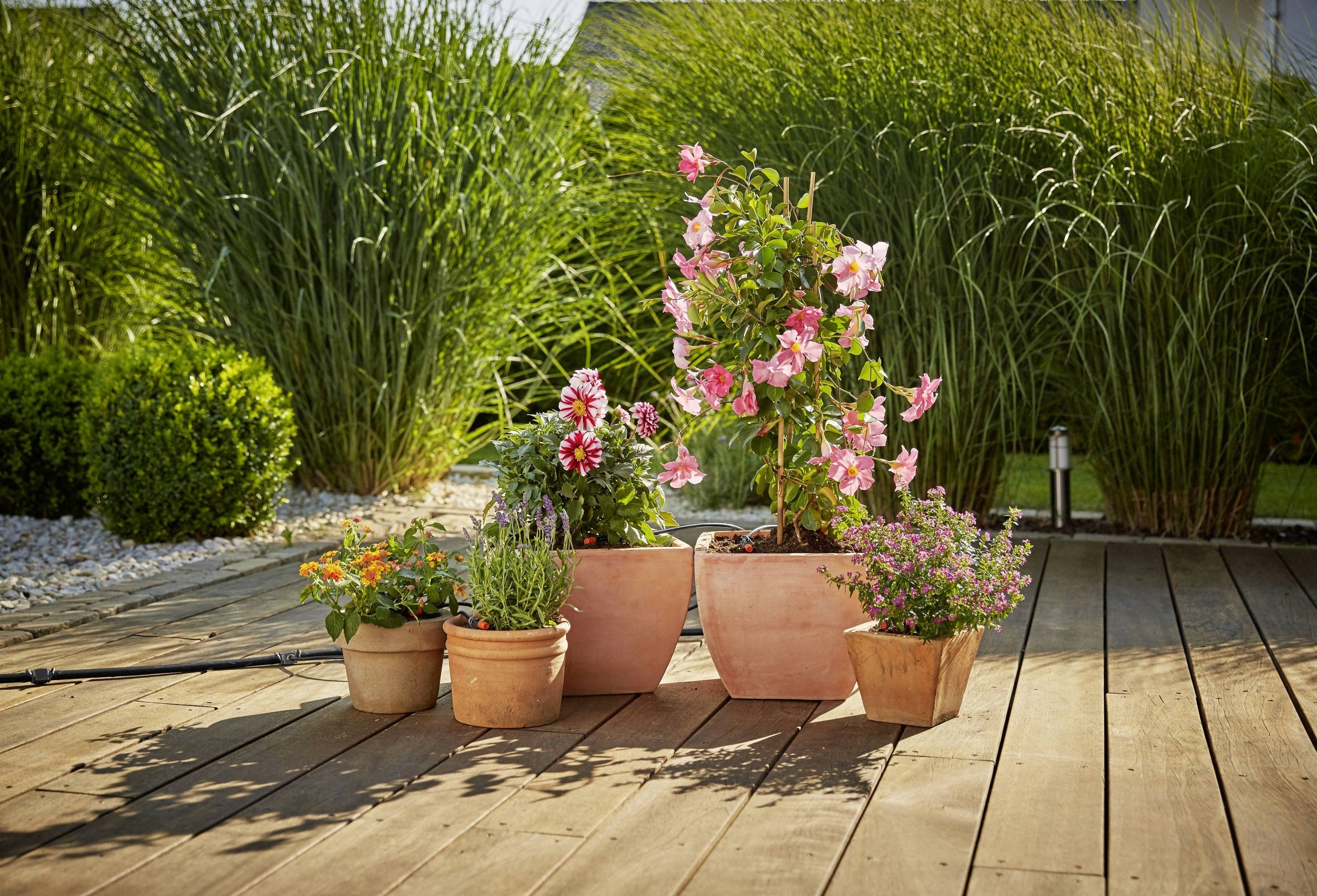 GARDENA Micro-Drip-System 13005-20 Micro-Drip Pflanztöpfe expansion set 13 mm (1/2") Ø Hose length: 5 m-2