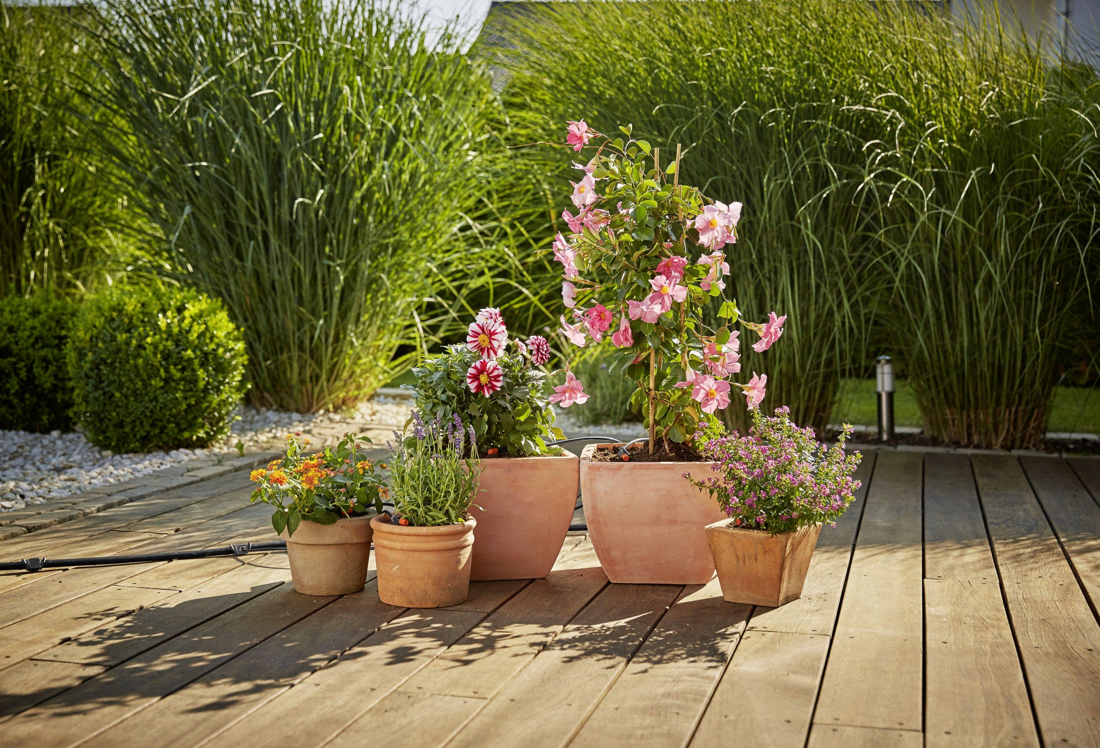 GARDENA Micro-Drip-System 13005-20 Micro-Drip Pflanztöpfe expansion set 13 mm (1/2") Ø Hose length: 5 m-1