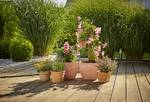 Expansion Set Flower Pots