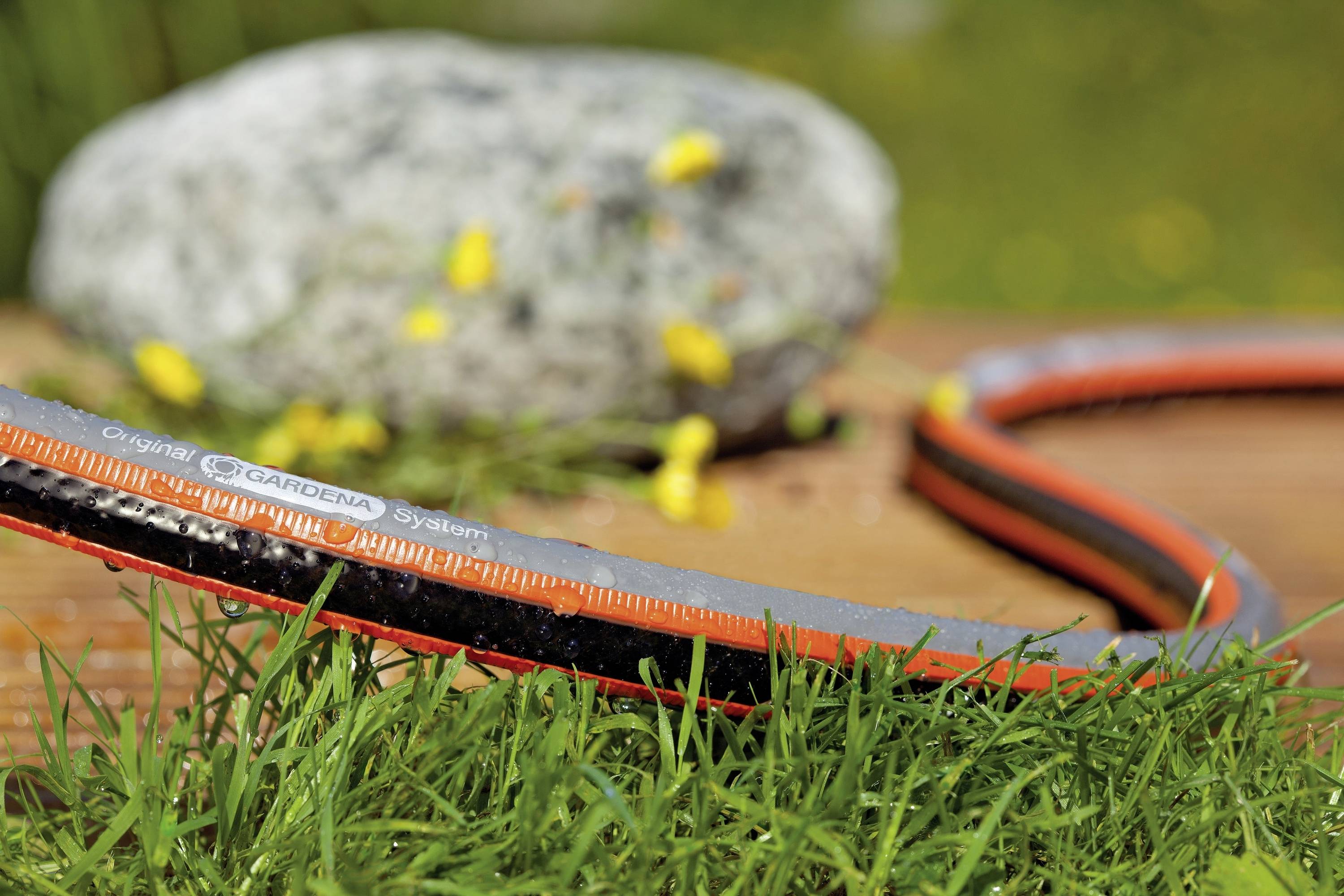 A garden hose lies on grass, with a large stone and yellow flowers blurred in the background. A summery garden scene.