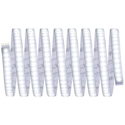 Several white LED strips placed side by side with illuminated diodes.