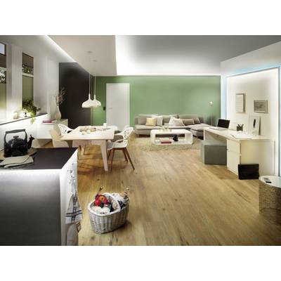 A modern living room with laminate flooring, a sofa against a green-painted background, a dining table with chairs and a workspace.
