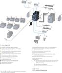 Surge suppressor, RC element, AC127-240V, DC150-250V for motor contactors