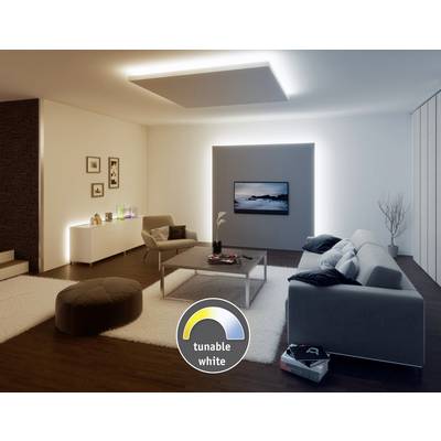 Elegant living room with a modern sofa and armchair. The television is mounted on the wall, illuminated by soft LED lighting.