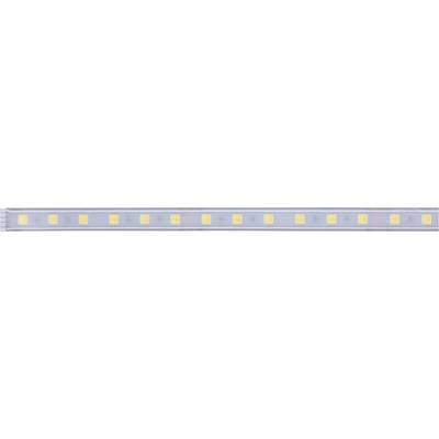 Close-up of an LED strip with evenly distributed yellow chips in a transparent casing.