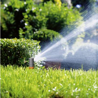 Lawn sprinkler watering grass in the garden. Green grass in the foreground, with shrubs and trees in the background on a sunny day.