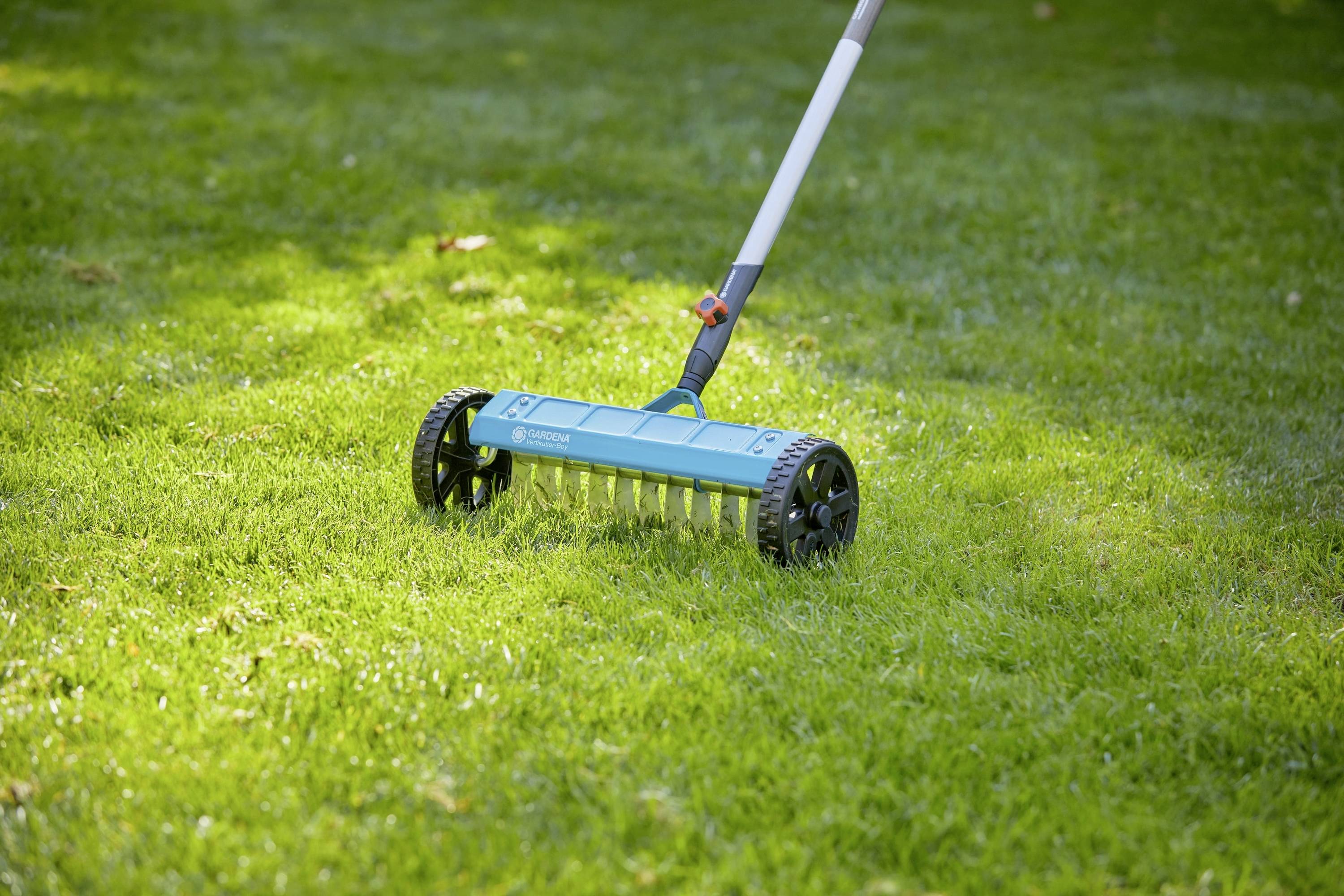 A manual lawn aerator is pushed across a green lawn. The device has a blue body and black wheels.