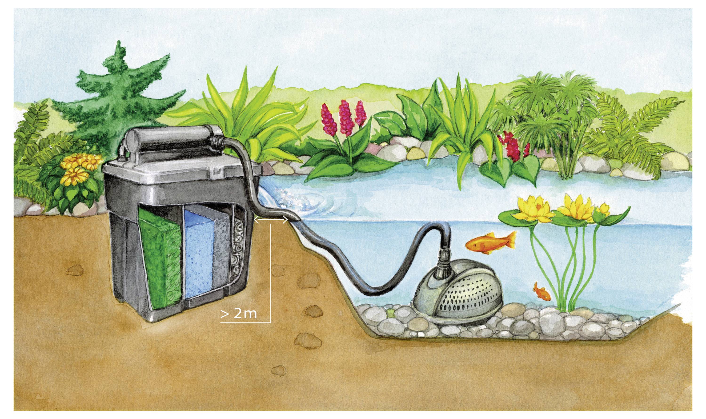 'A pond filtration system with a pump and filter placed over 2 meters apart. Lush plants and two fish are in the pond.'