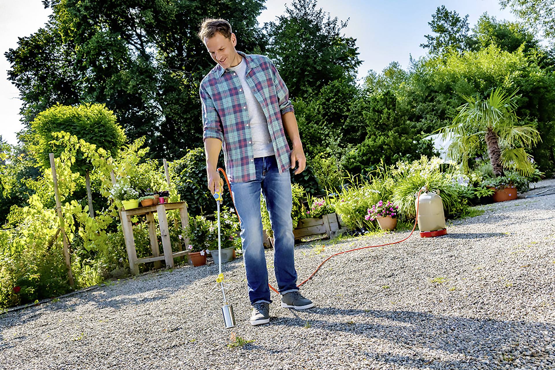 A man is using a gas burner to remove weeds on a gravel path in a sunny garden. Plants can be seen in the background.