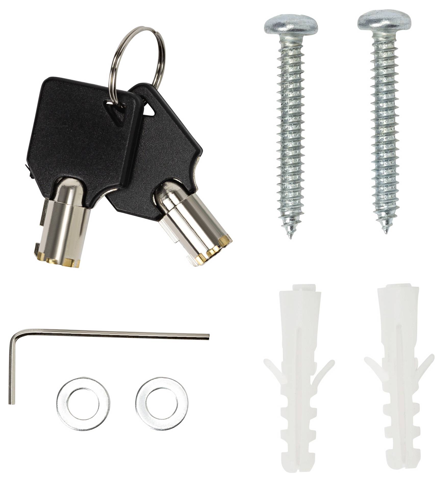 Screw set comprising two screws, two wall plugs, an Allen key, two washers, and two keys on a ring.