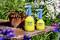 Two yellow spray bottles from the Gloria brand, 'Hobby 10 FLEX' and 'Hobby 05 FLEX', are standing on an old table next to a flower pot in the garden.