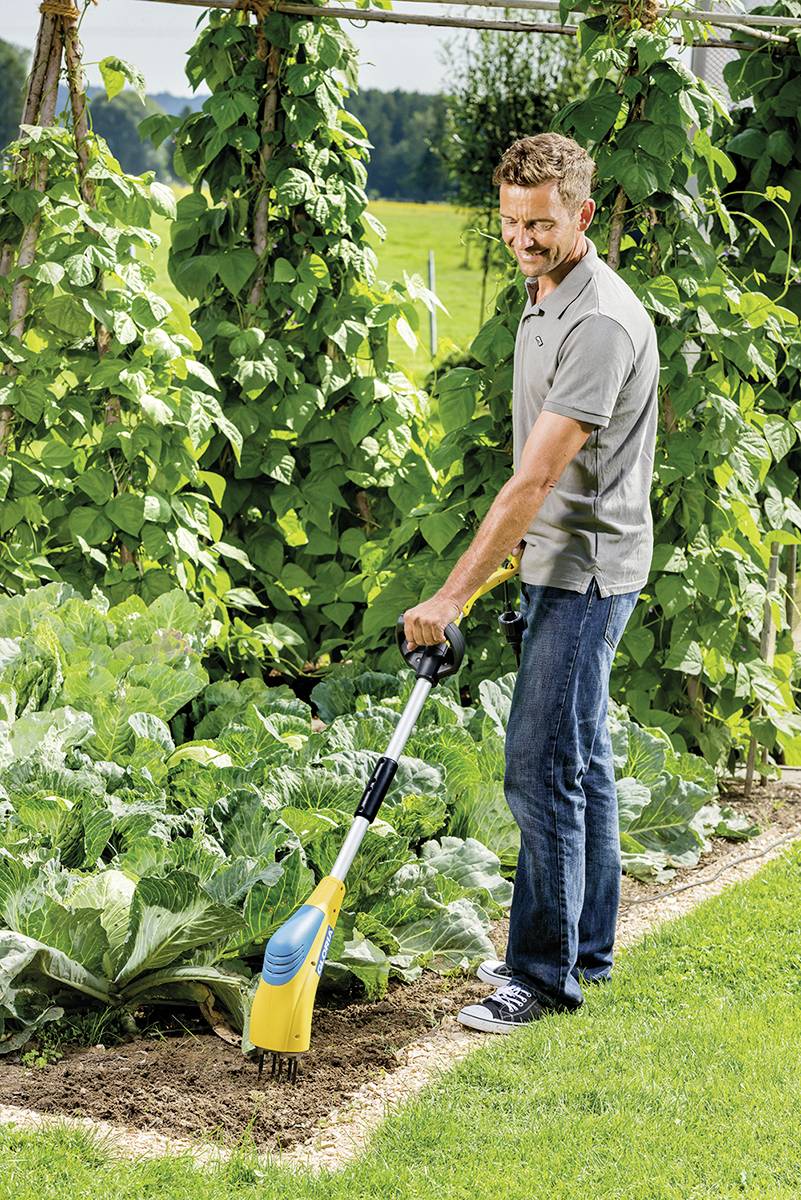 A man is using an electric garden tool to tend to a flower bed in the garden, surrounded by green plants and climbing vegetation.