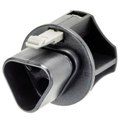 Image of Wieland Z5.564.4553.1 Socket cover RST® CLASSIC Serie 230 V 3-pin
