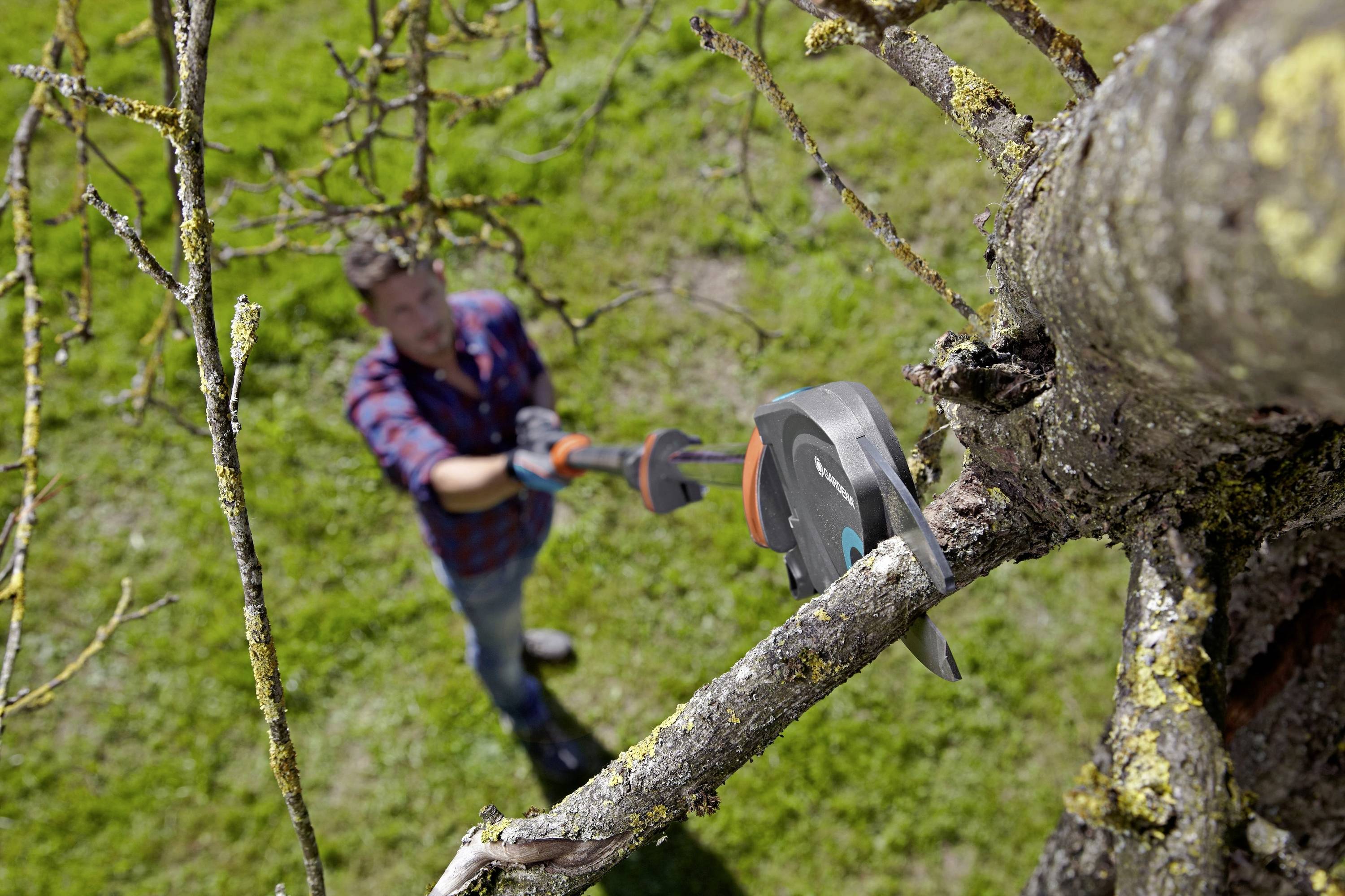 A man in a checked shirt is cutting a large branch from a tree with a pair of pruning shears. The focus is on the pruning shears.