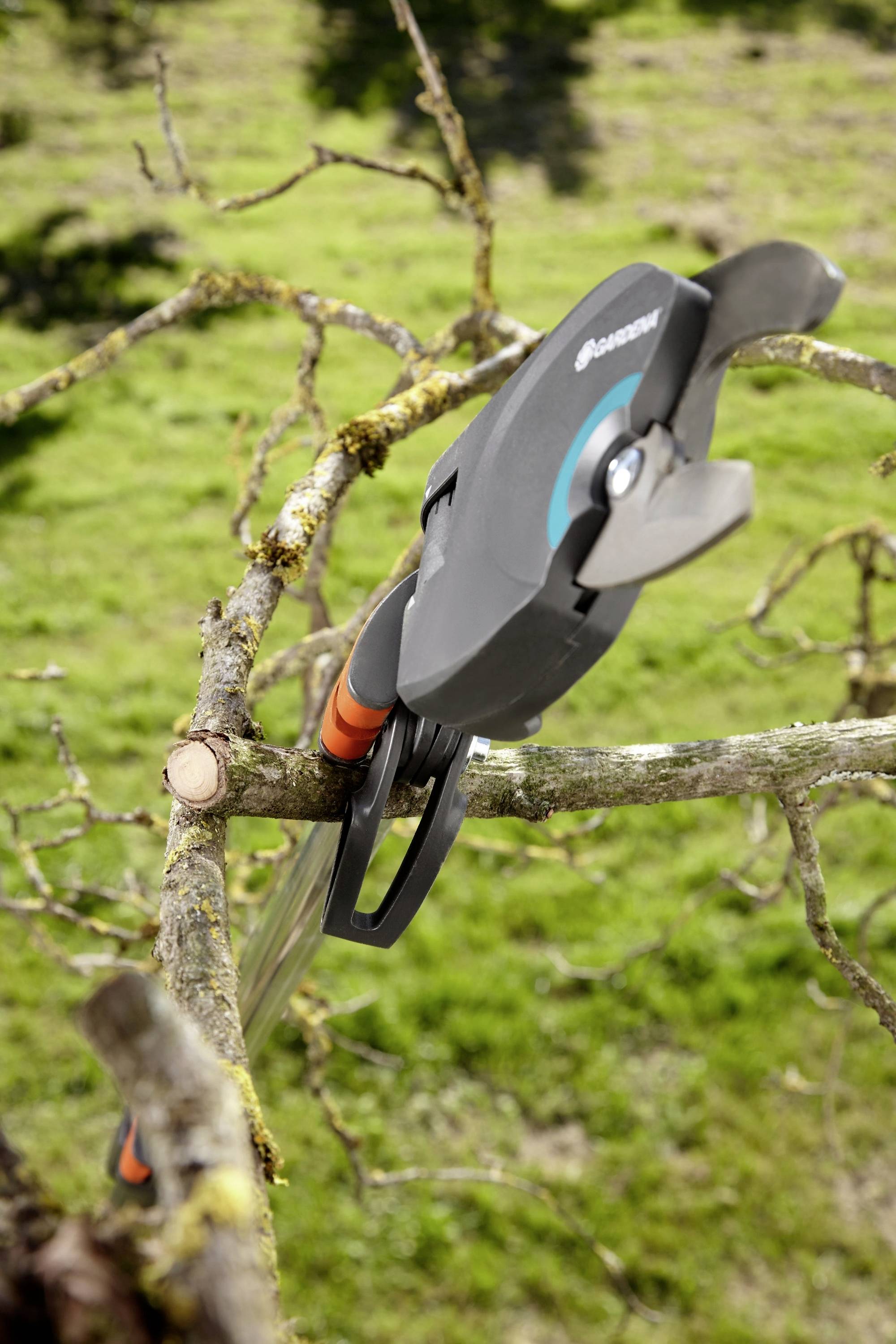 A pair of secateurs cuts a branch from a tree. A meadow is visible in the background. The secateurs have a black handle.