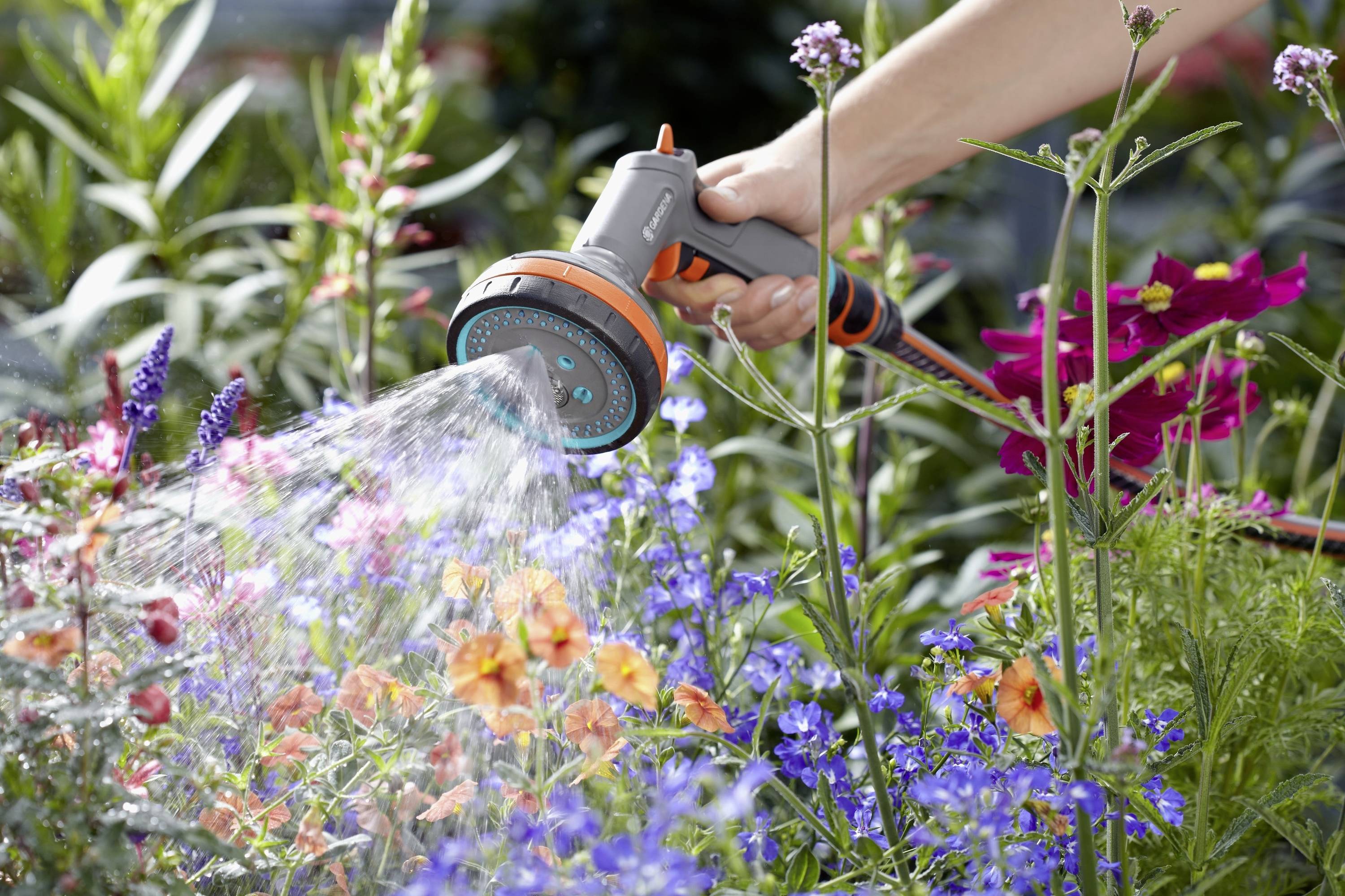A hand is watering colourful flowers in a garden with a hosepipe.