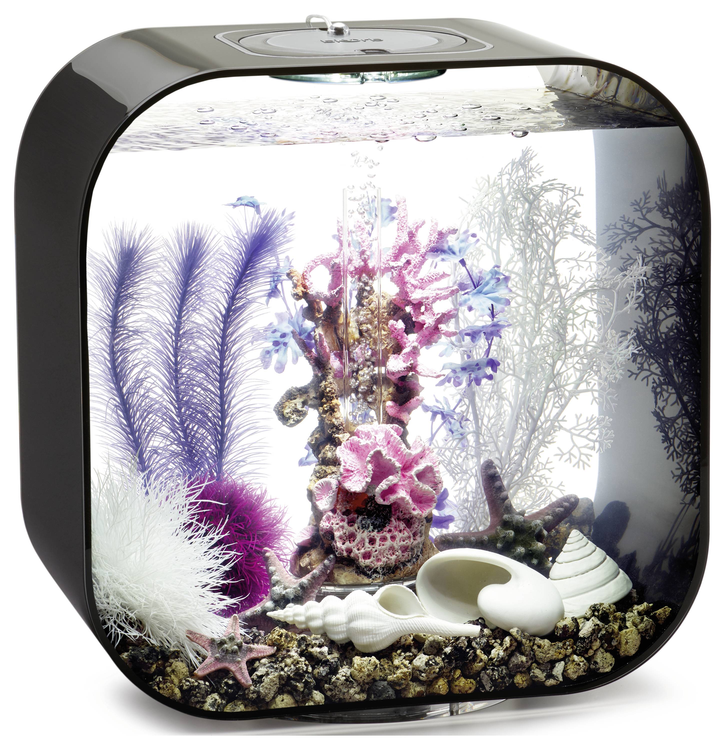 'A small, decorative aquarium with colorful coral, seashells, and vibrant marine plants, creating a lively underwater scene.'