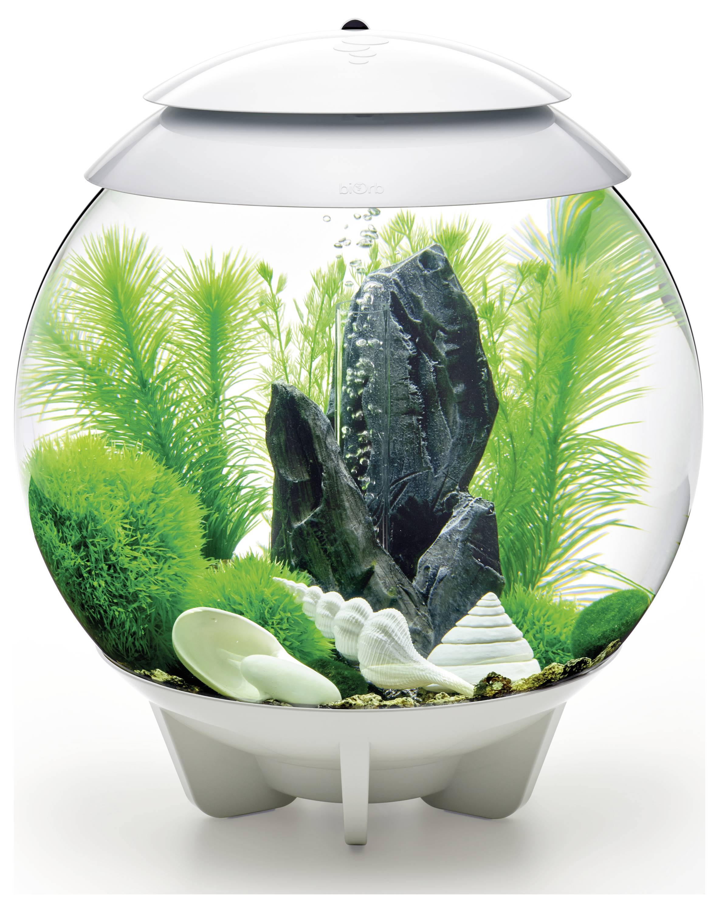 A modern, round aquarium with lush green plants, rocks, and decorative white shells inside, all set on a sleek white base.