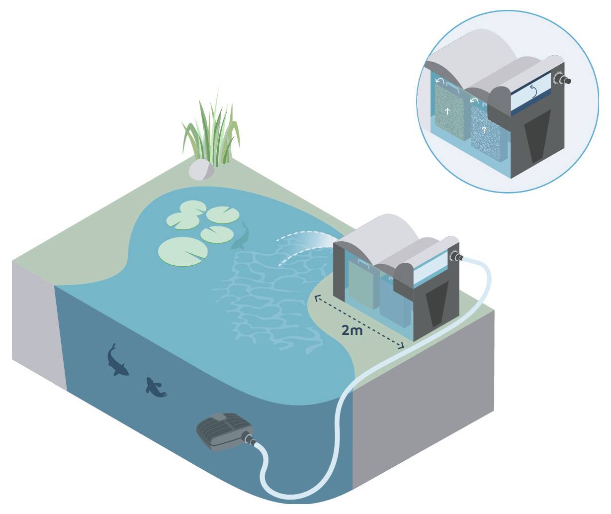 An illustration of a pond filtration system showing components like a pump, pipe, filter mechanism, water flow direction, and a 2m distance marker.
