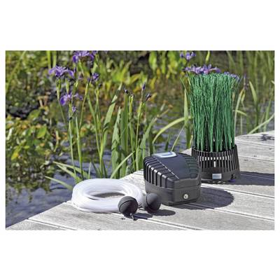 Pond aeration system with pump, tubing, and filtration unit on wooden decking near plants and water, enhancing oxygen levels for aquatic life.