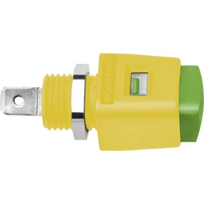 Schützinger ESD 498 / GNGE Spring-loaded mounting terminal Green, Yellow 16 A 1 pc(s) 