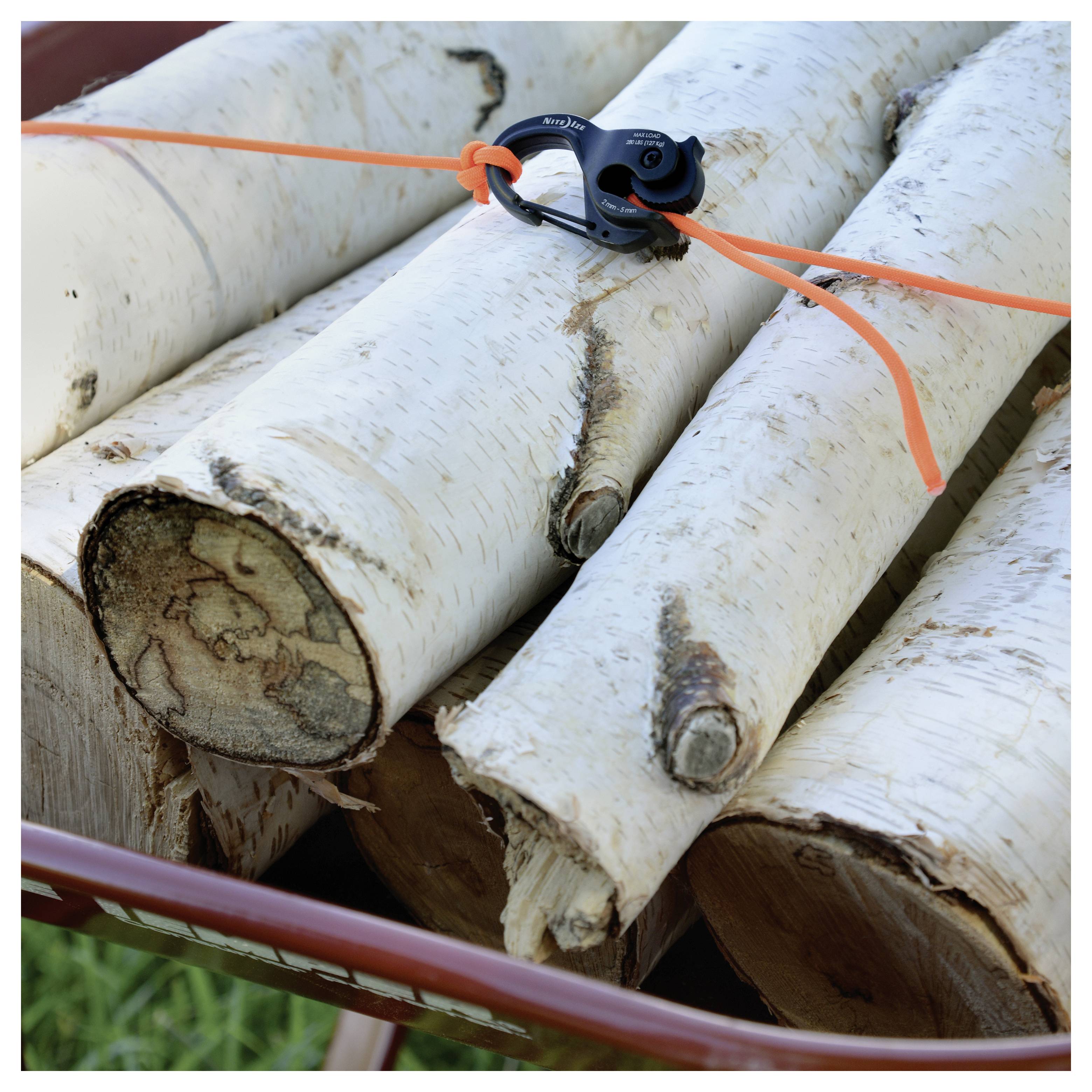 Birch logs secured with orange rope in a wheelbarrow, showcasing a knot mechanism for stability.