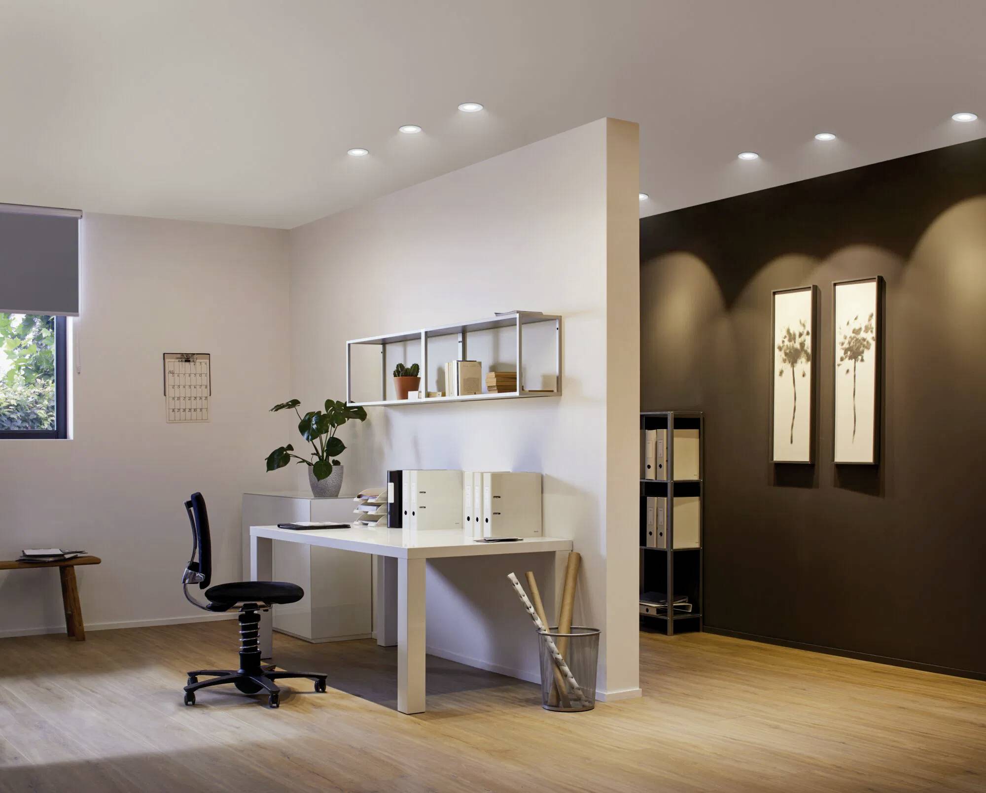 A modern office with a desk, chair, and shelves. A plant adds greenery. Two framed artworks hang on a brown wall. Natural light enters from the window.